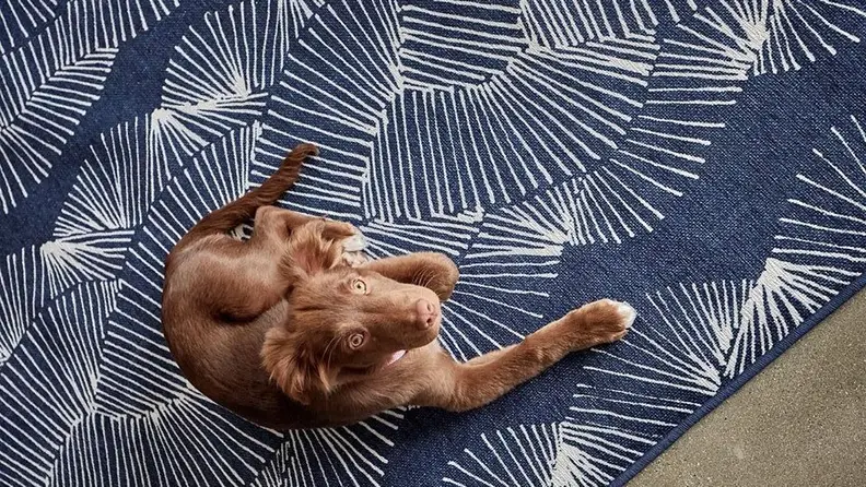 Upgrade your coastal home with this cool nautical design.