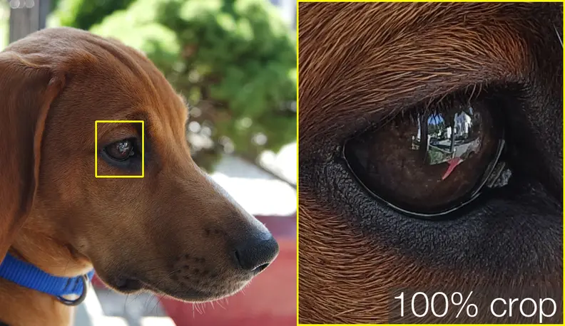 A 100% crop of a sample image taken by the Samsung NX3000.