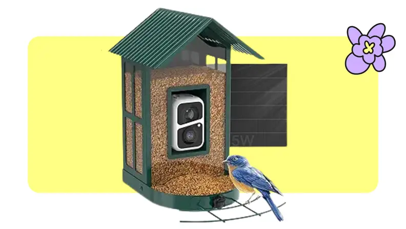green Camera Bird Feeder with bird perched on side