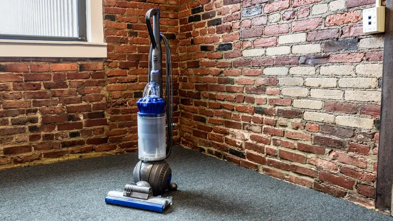 Dyson has a look that's one-of-a-kind.