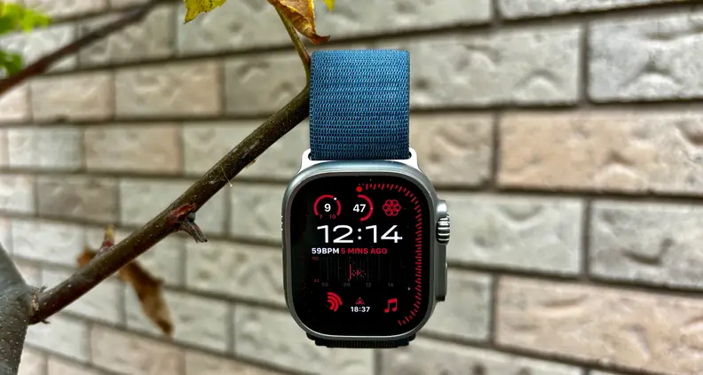 An Apple Watch Ultra 2 hangs from the branch of a tree.