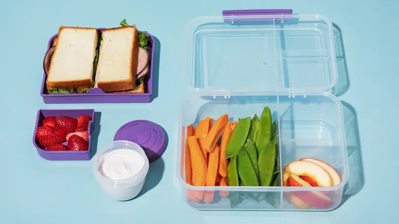 A clear plastic Bento box filled with vegetables, fruit, and a sandwich.