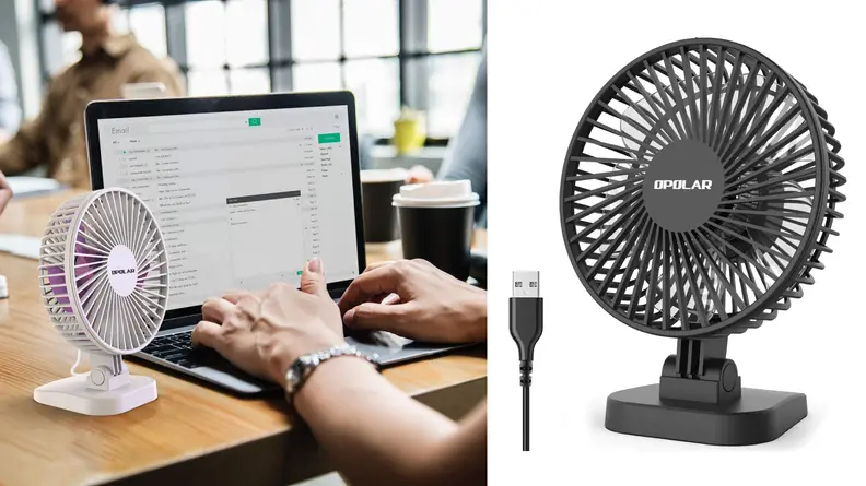 Fan
