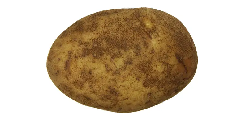 potato