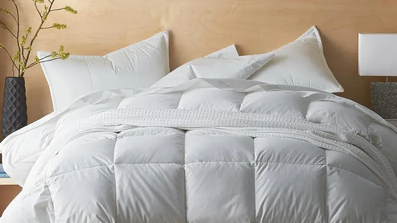 The Company Store Down Comforter