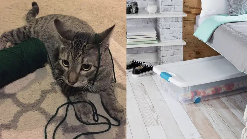 Cat playing with yarn and secure storage solution