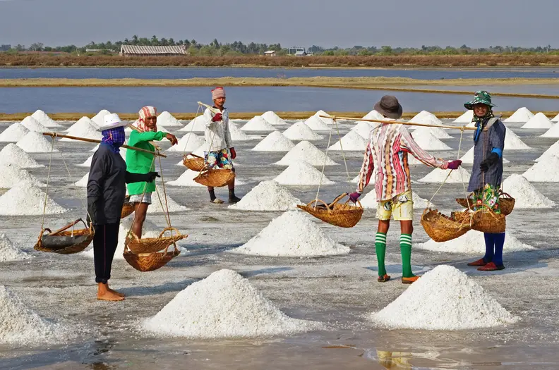 Sea salt harvesting in Thailand