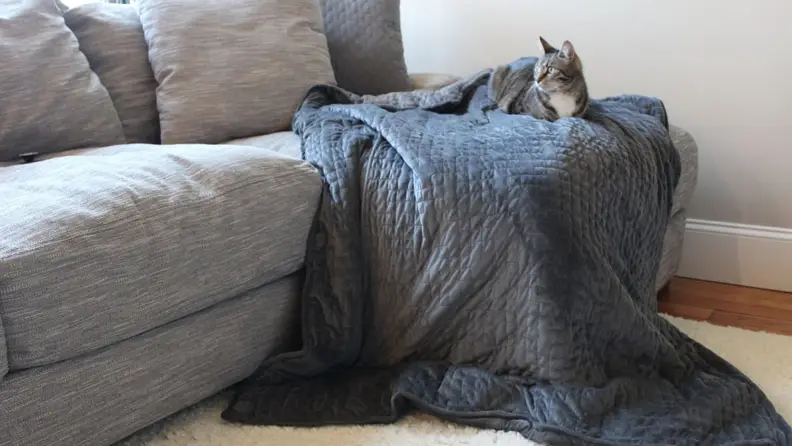Weighted blankets are the equivalent of a warm, welcoming hug.