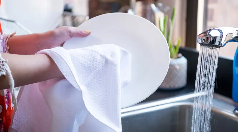 Williams Sonoma All-Purpose Pantry Towels