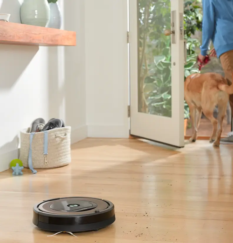 iRobot Roomba 890 and dog