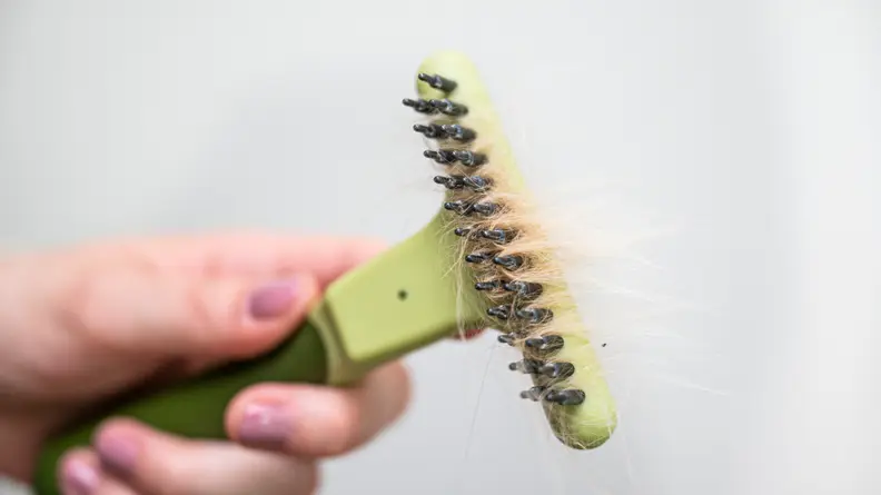 a hand holding the safari rake tines up