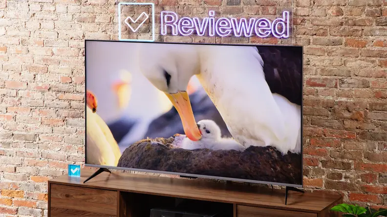 The Roku Plus Series QLED TV with seagulls onscreen.