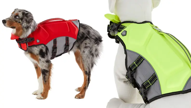 Keep your dog safety when playing in the water.