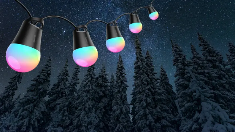 A string of lights hangs in front of trees