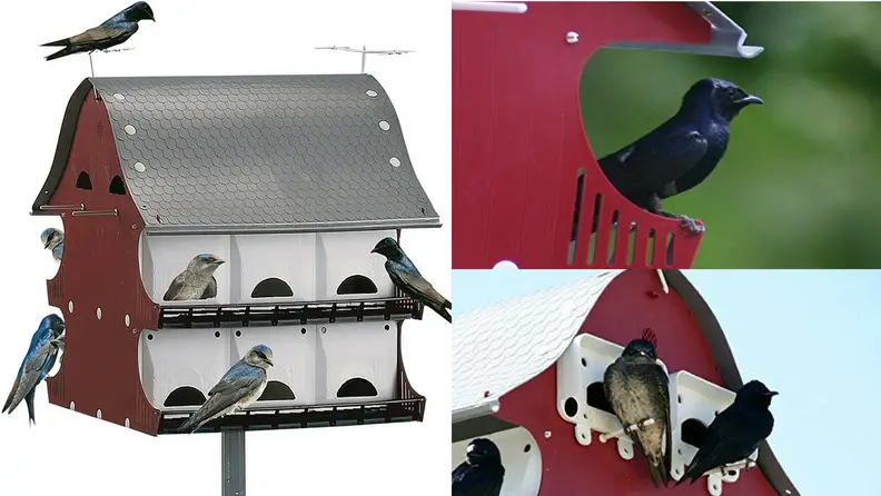 Bird House