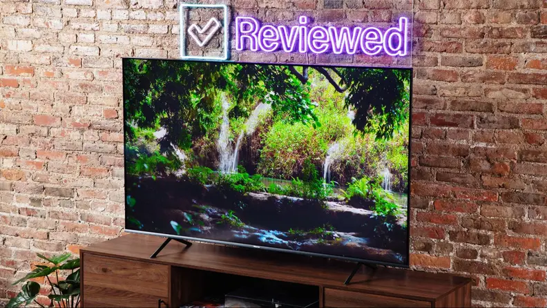 A television with a nature scene displayed on its screen in a living room.