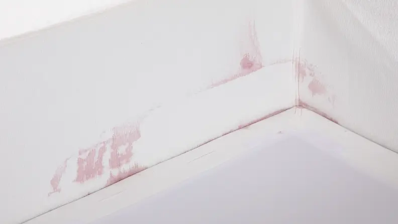 An interior view of the couch with red wine splotches all along the side.