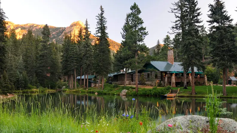 A cabin in the woods