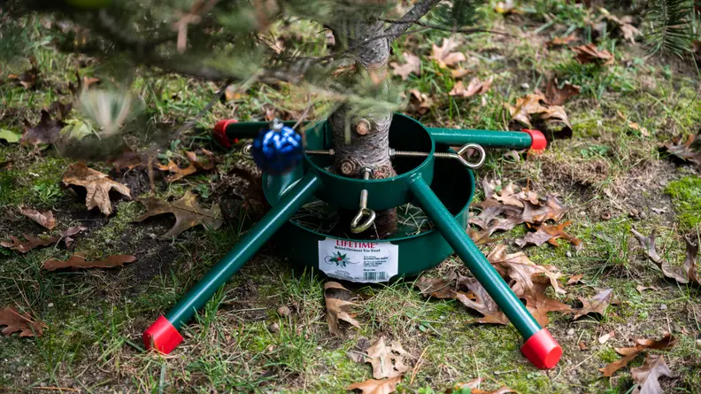 The bottom of a Christmas tree in a green Christmas tree stand