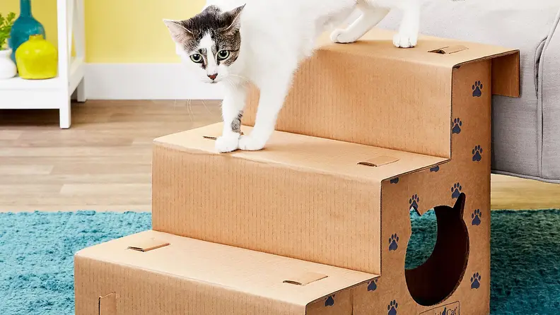 A white cat with gray markings on the head descends a set of cardboard steps