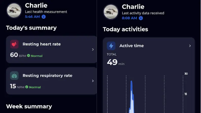 Screenshots of the health stats from the app.