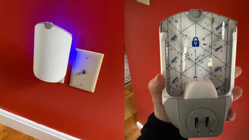 A side by side shot of the front and the back of the insect trap