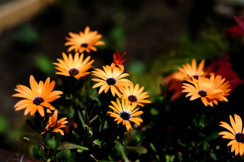 EXIF: 50mm, ISO 200, 1/3200, f/3.5