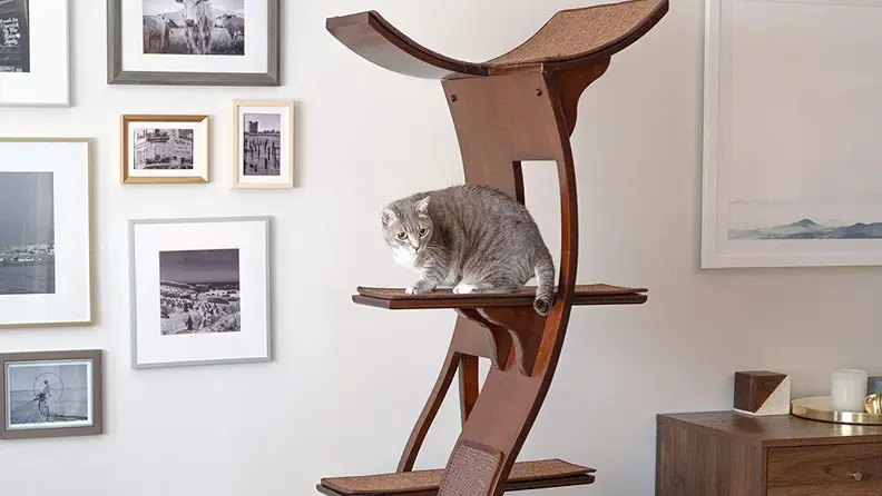 A gray cat looks alert while sitting on the second tier of a classy wooden cat tree.