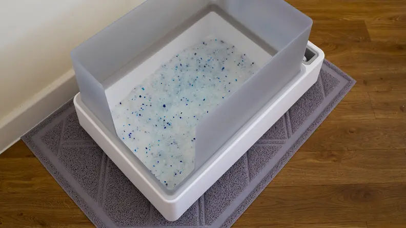 The Cove litter tray with some cat litter inside it.