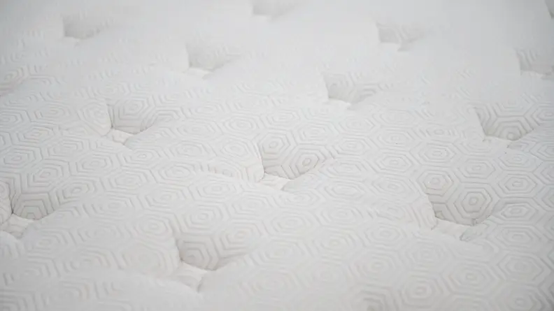 closeup of the Bear's white surface