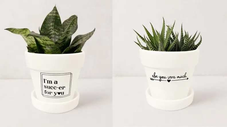 Planter