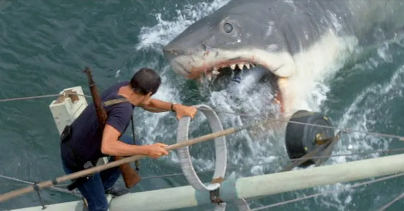 A bigger boat probably wouldn't have helped...
