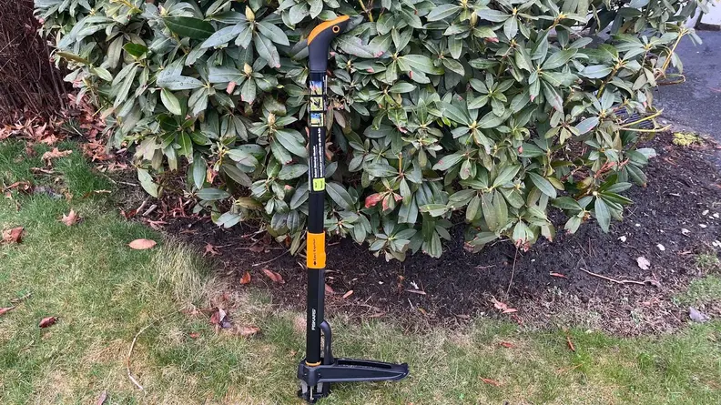 A Fiskars Deluxe Stand-up Weeder leaning against a large garden shrub.