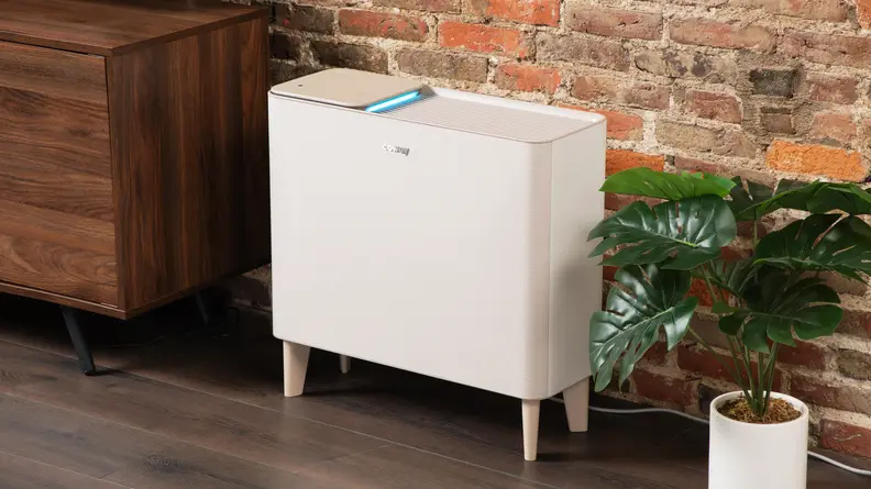 The attractively designed Coway Airmega Icon air purifier sits next to a plant.