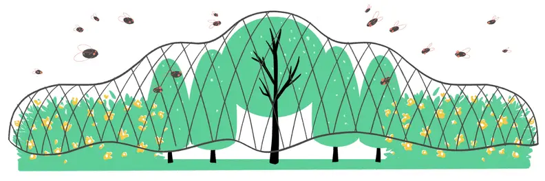 Illustration of cicadas swarming around trees, bushes, and flowers covered in garden netting
