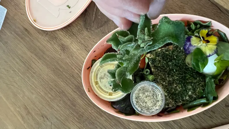 Hand holding a Common Ice Plant over a Methodology salad