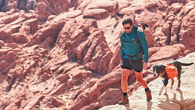 Person hiking with dog in rocks.