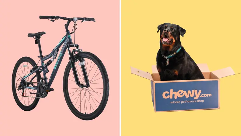 A bike against a pink background on the left. A Rottweiler sitting in a Chewy box against a yellow background on the right.