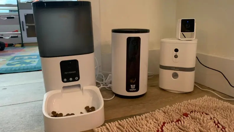 The best smart pet cameras.