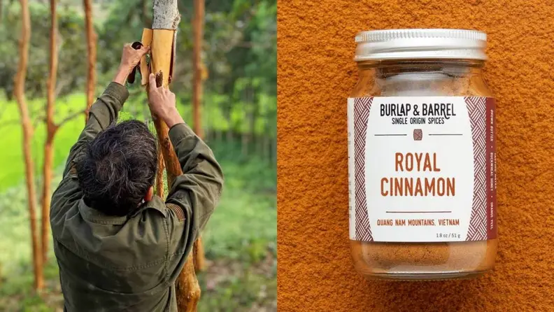 Left: A person harvests cinnamon. Right: A jar of cinnamon against a warm cinnamon-colored background.