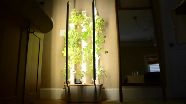 A hybriponic indoor garden device called Gardyn is lit up to increase artificial light to the plants that are growing out of the columns.