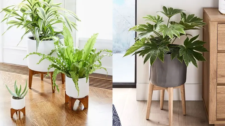 West Elm Planter