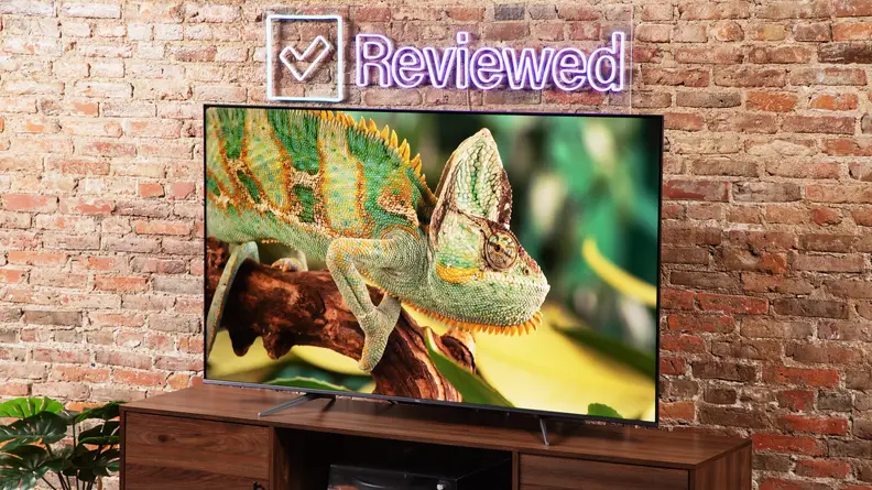 TCL 65Q650G LED TV with green iguana on screen indoors in front of brick wall.