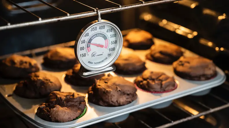 KT Thermo Oven Thermometer