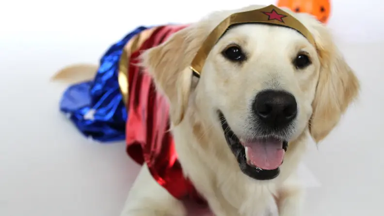 This costume was huge on Addy, so you may want to size down!