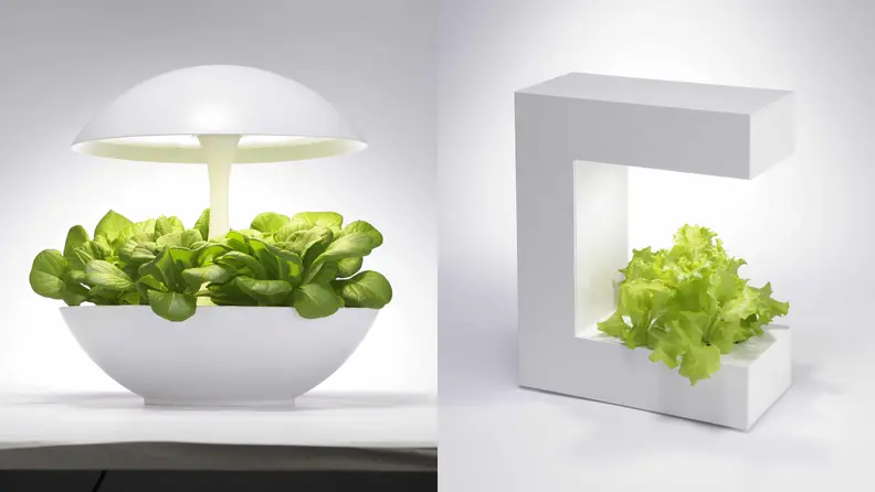 Akarina 01 and Akarina 14 Planters