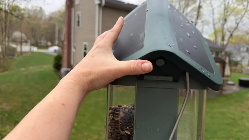 Left hand touching the roof of a green Kiwibit Bird Feeder 2 in front of trees and grass.