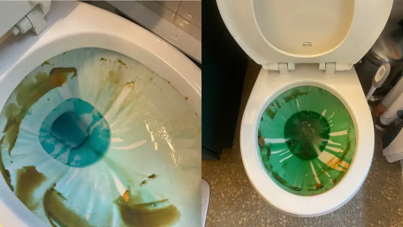 Dried brown miso paste is spread around the inside of a toilet bowl and blue cleaner gel covers it
