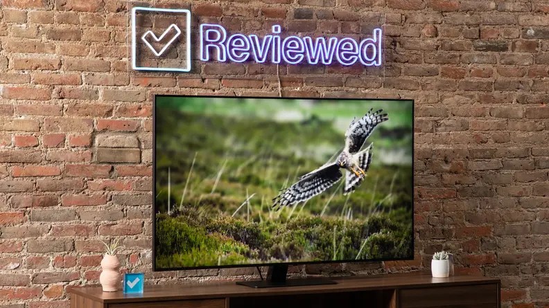 Samsung Q80B TV in front of brick wall under neon sign indoors with swopping large bird on screen.