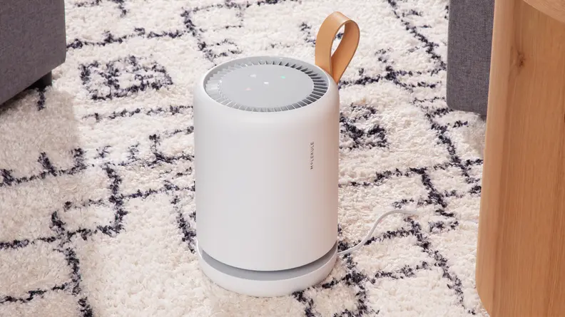 The portable air purifier sits on a carpet.